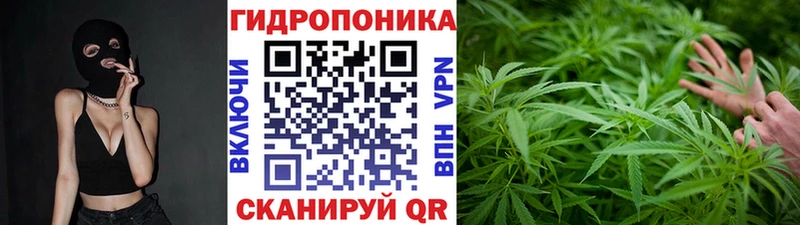 Где купить наркоту Тобольск ГАШ  КОКАИН  Альфа ПВП  Бошки Шишки  МЕФ 