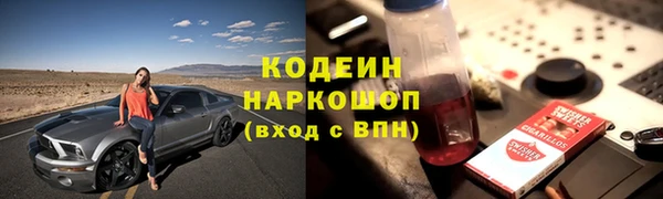 PSILOCYBIN Заводоуковск