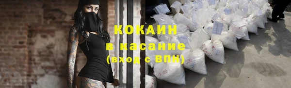 PSILOCYBIN Заводоуковск