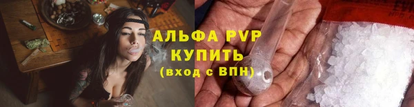 PSILOCYBIN Заводоуковск