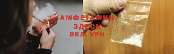 PSILOCYBIN Заводоуковск