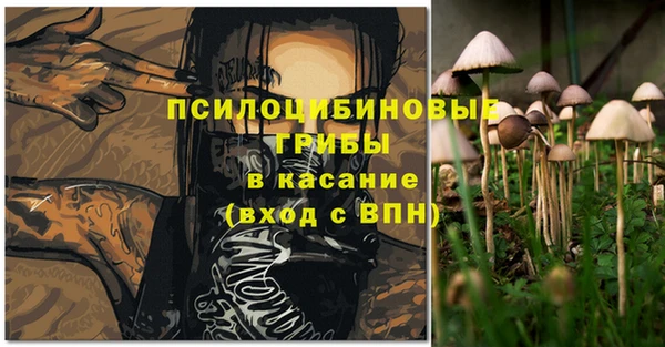 PSILOCYBIN Заводоуковск