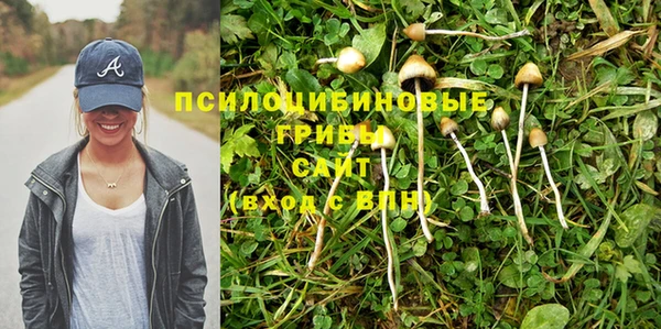 герыч Елабуга