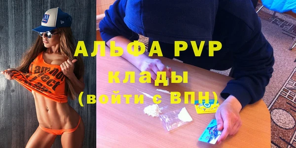 PSILOCYBIN Заводоуковск