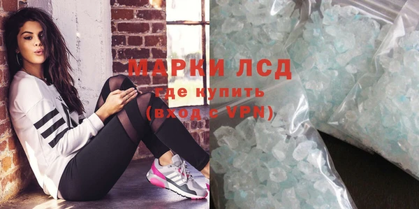 PSILOCYBIN Заводоуковск