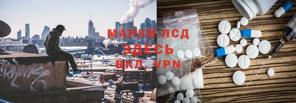 PSILOCYBIN Заводоуковск