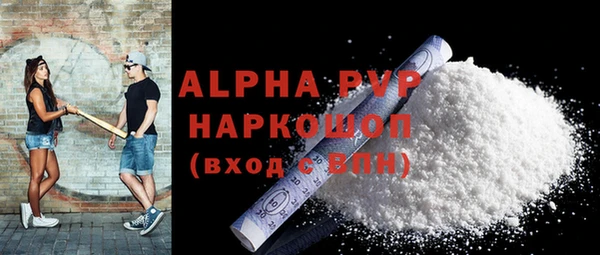 PSILOCYBIN Заводоуковск