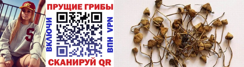 Псилоцибиновые грибы Psilocybine cubensis  darknet формула  Тобольск  блэк спрут  